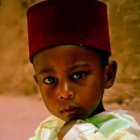 The Alhambra Society