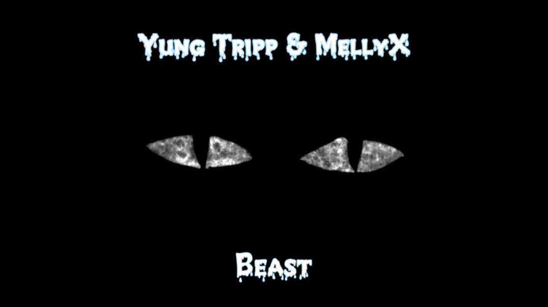 Yung Tripp & MellyX - Beast