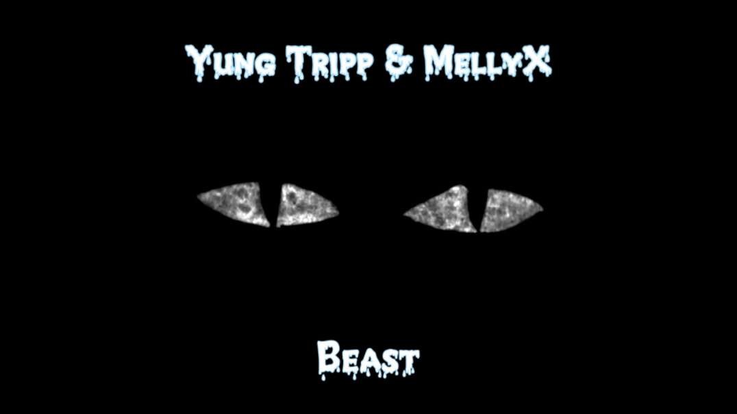 ⁣Yung Tripp & MellyX - Beast