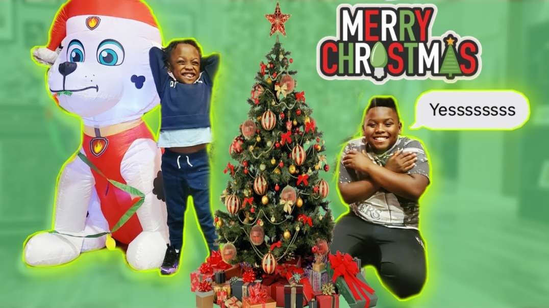 Time To Put Up the Christmas Tree Family Vlog