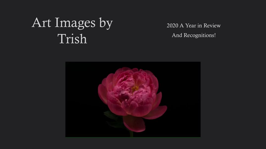 Art Images by Trish Year in Review 2020