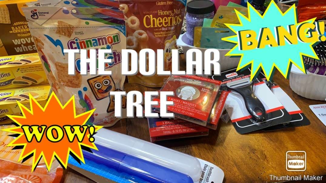 ⁣Have You Started Shopping at the Dollar Tree Yet?