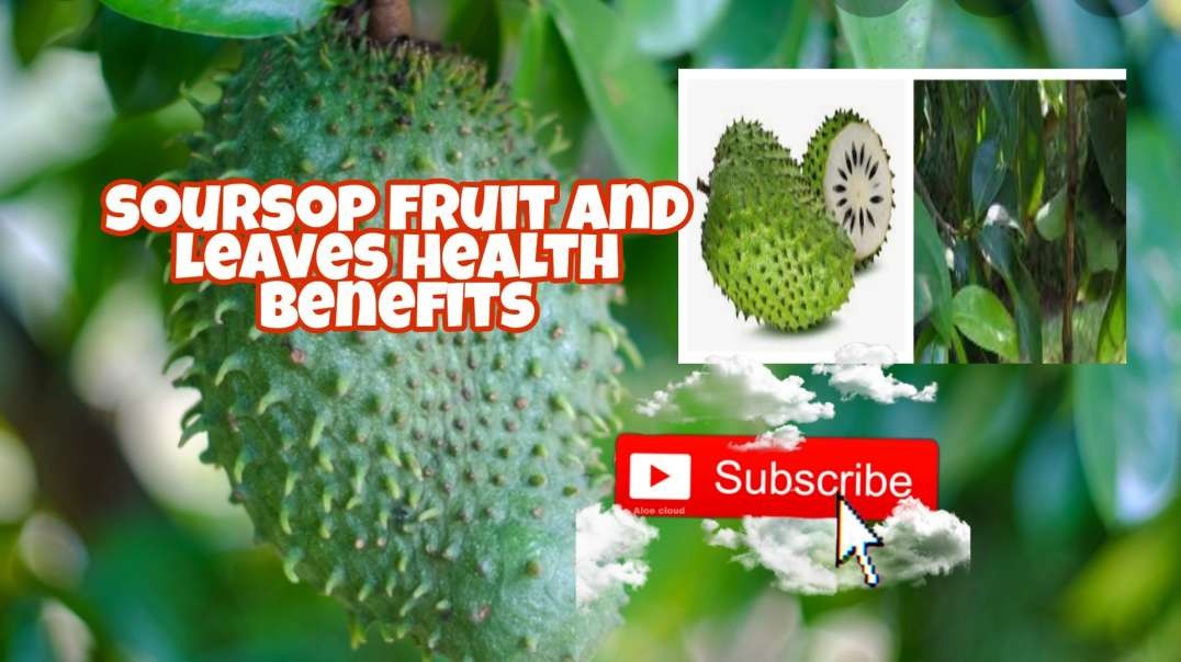⁣Soursop fruit and leaves key benefits