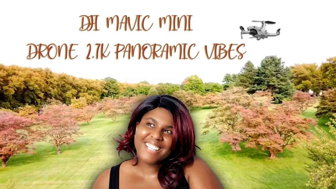 ⁣Drone Life Footage: DJI Mavic Mini Cinematic Views
