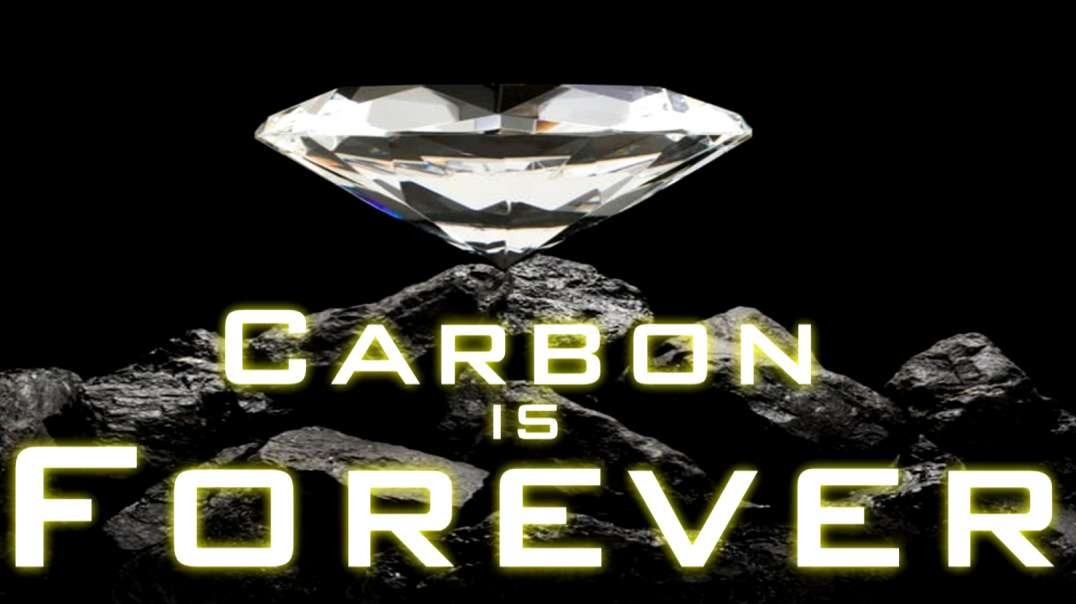⁣Carbon is Forever (coming soon)