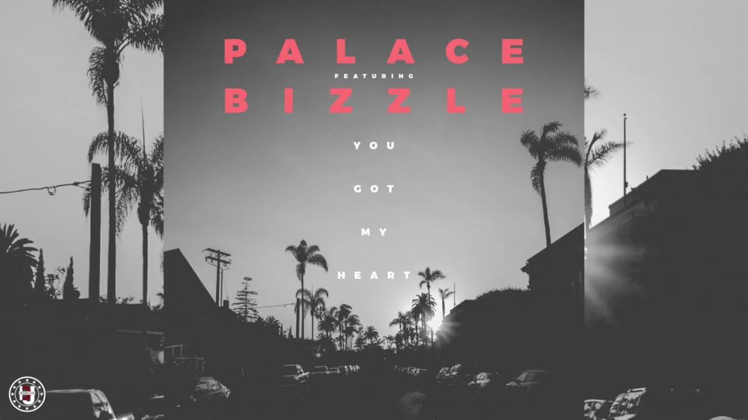⁣Palace - You Got My Heart Feat Bizzle
