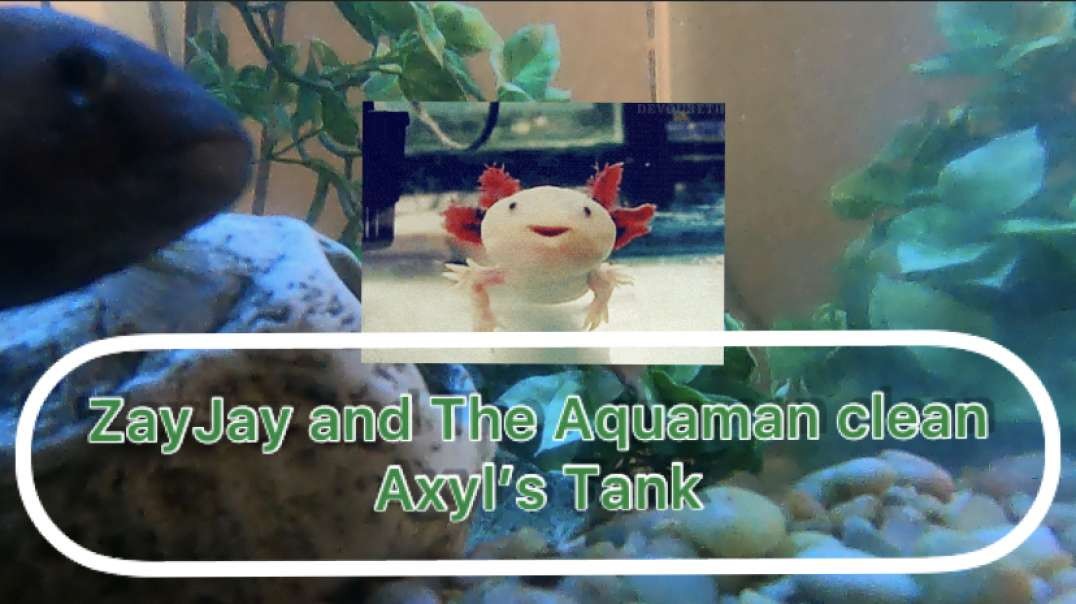 ⁣ZayJay and The Aquaman clean Axyl’s Tank