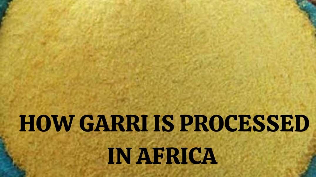 HOW TO PRODUCE GARRI (CASSAVA FLAKES) FROM THE SCRATCH