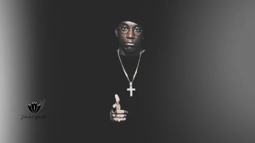 ⁣The STREETS Don't Love You! What Cost BIG L His Life?