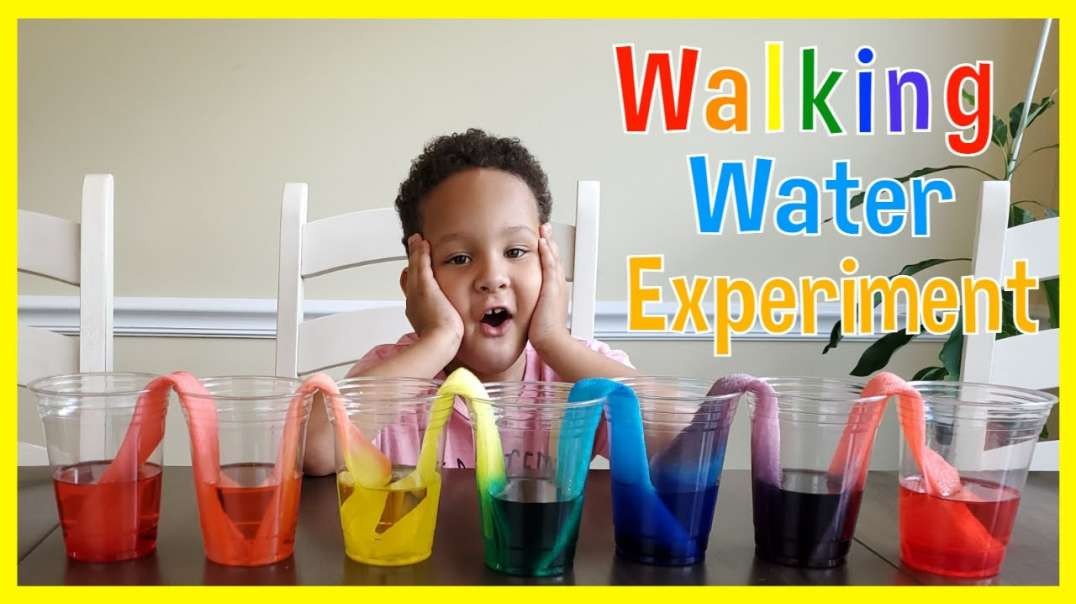 ⁣Walking Water Science Experiment for Young Kids