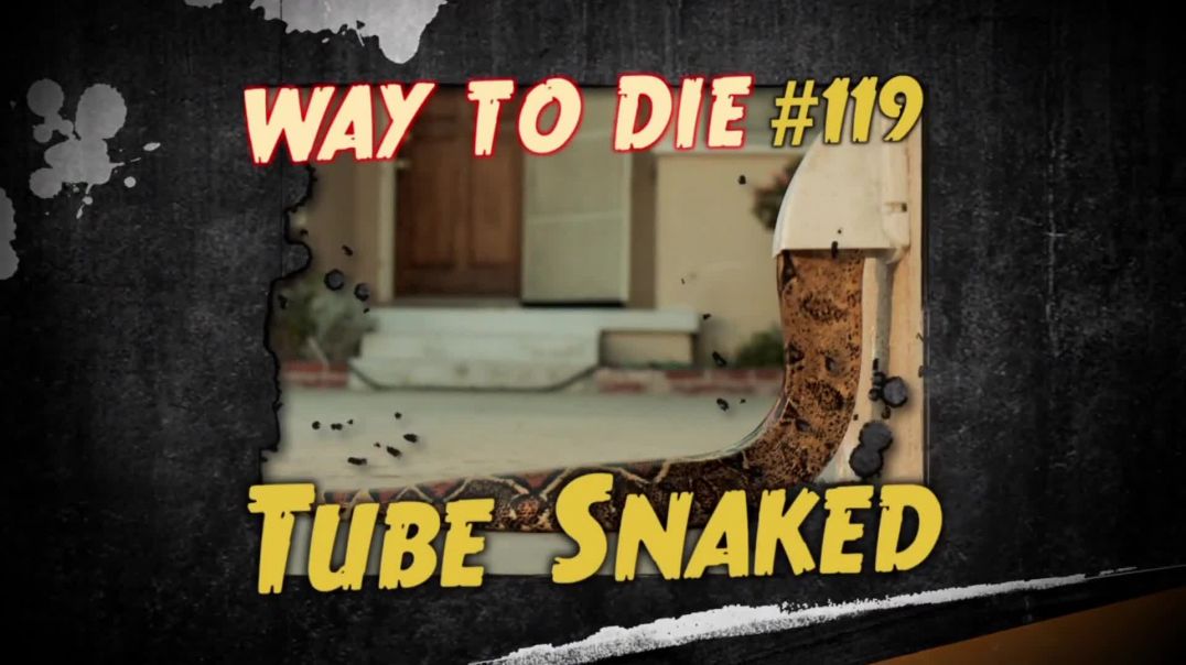 1000 Ways to Die: #119: Tube Snaked