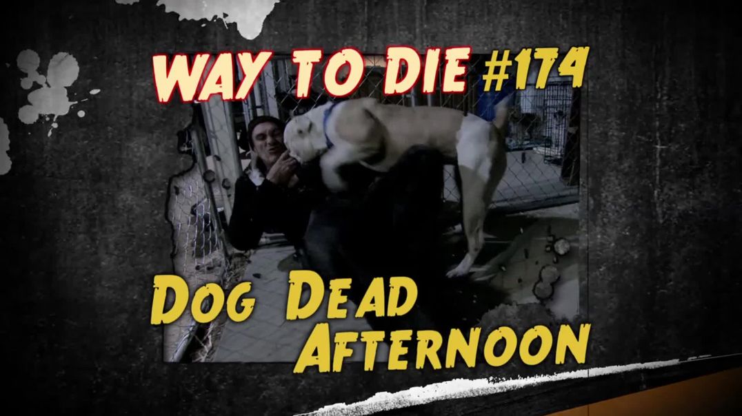 1000 Ways to Die: #174: Dog Dead Afternoon