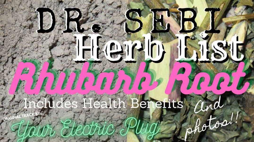 YEP Herb Shorts - Rhubarb Root