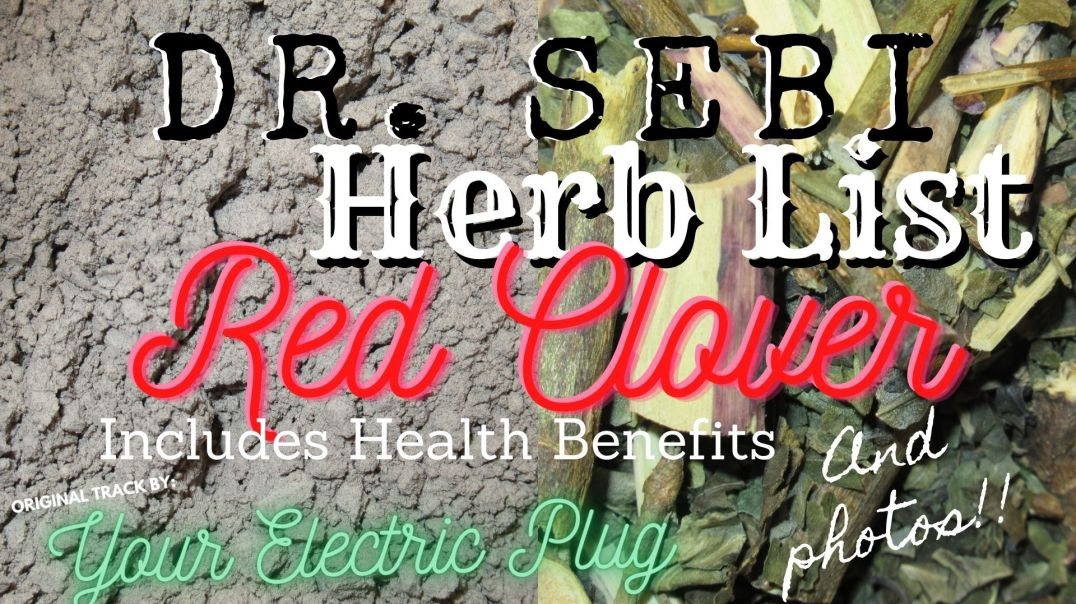 YEP Herb Shorts - Red Clover