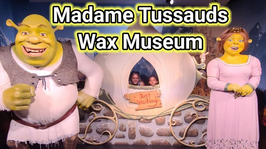 ⁣Madame Tussauds Orlando | Icon Park | Walk Through