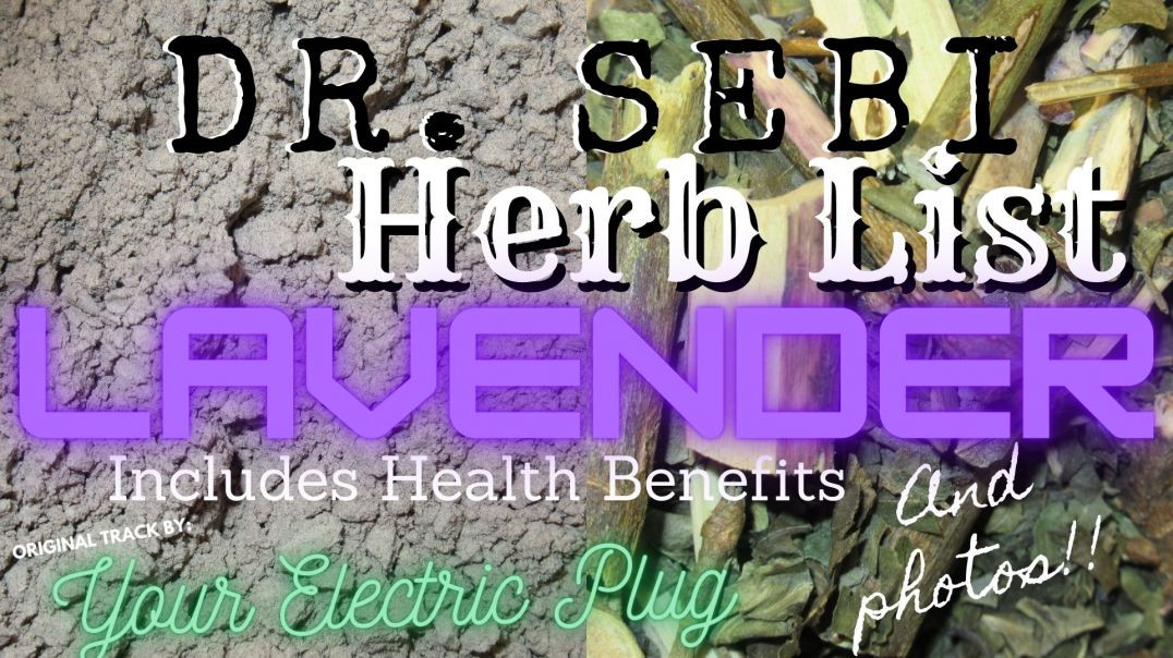 YEP Herb Shorts - Lavender