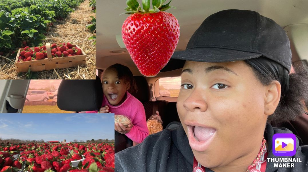 ⁣You Won’t Believe What Happened To Us At The Strawberry Patch