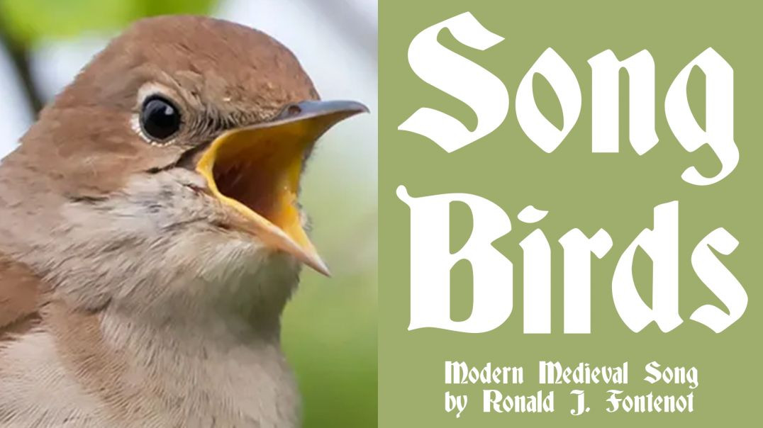 Song Birds_by Ronald J Fontenot