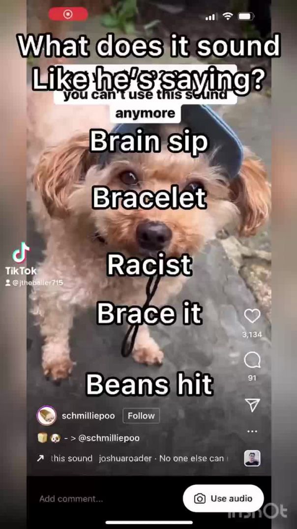 What is he saying?