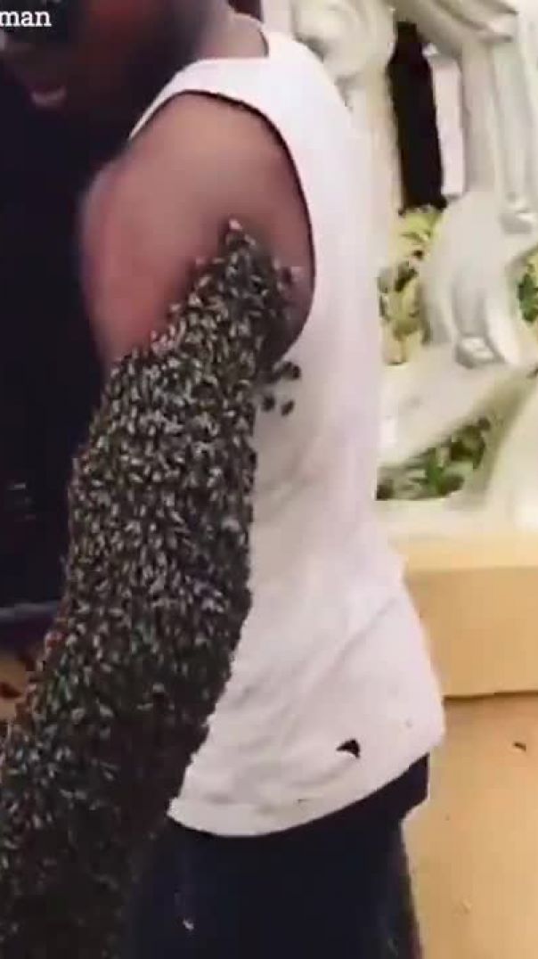 This man carries an entire bee colony on his arm by holding “The Queen” in his fist