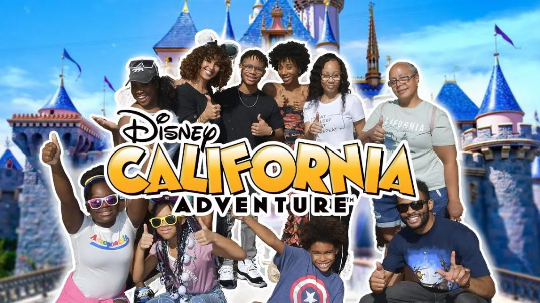 We Went To Disneyland | A Day At California Adventure Park