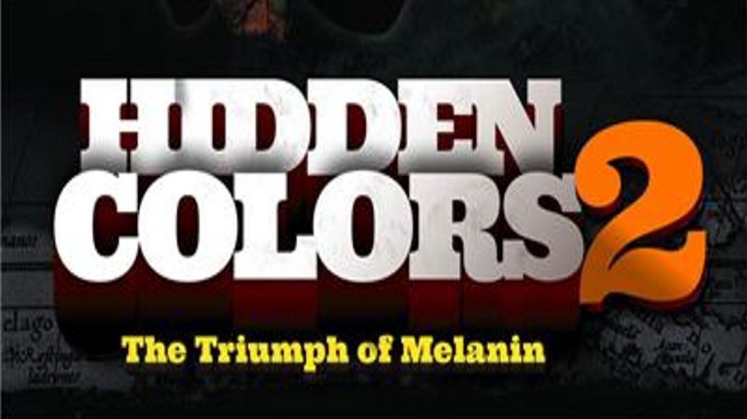 ⁣Hidden Colors 2: The Triumph of Melanin [2012]