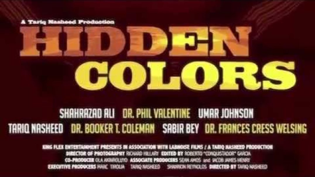 ⁣Hidden Colors [2001]