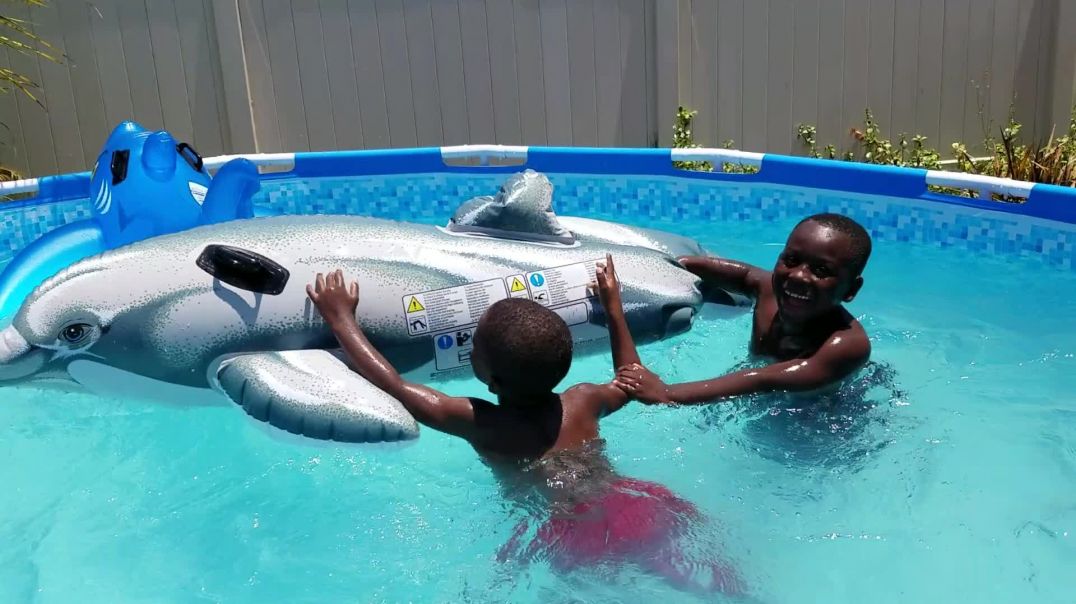 ⁣The Kids go Dolphin and Shark Riding in the Water