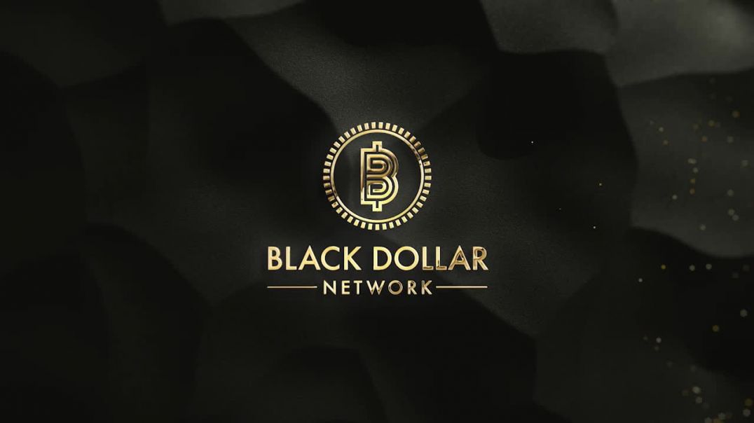 ⁣What is Black Dollar Network?