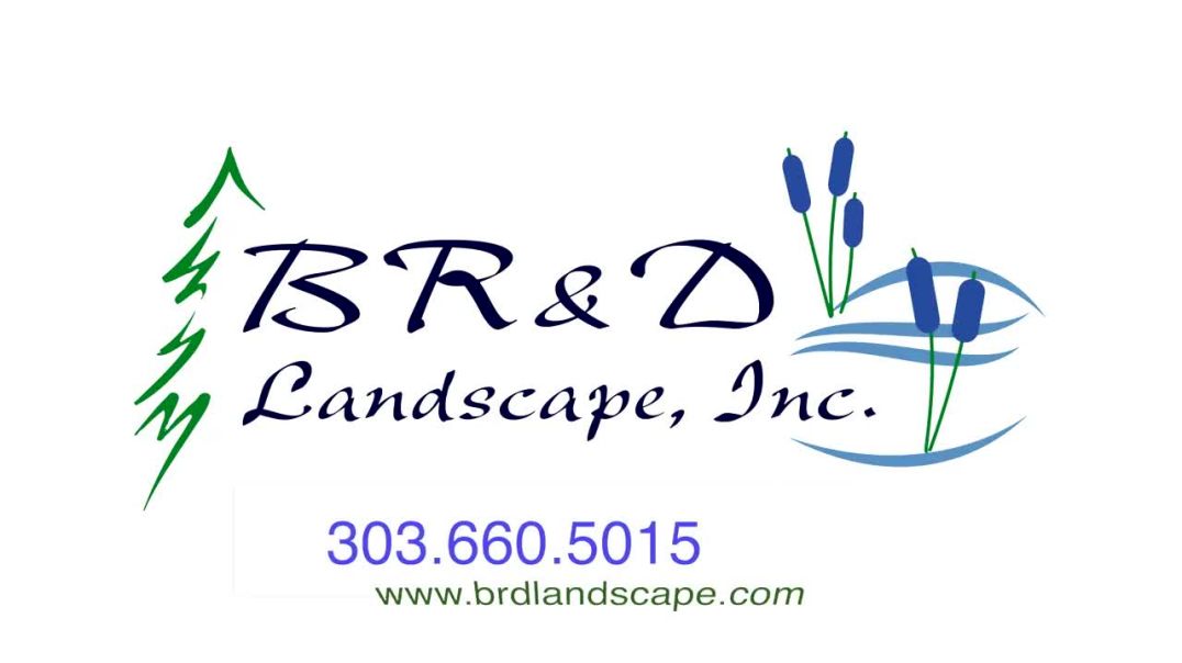 ⁣Discover the Beauty of Denver: BR&D Landscape – Transforming Spaces, Creating Dreams