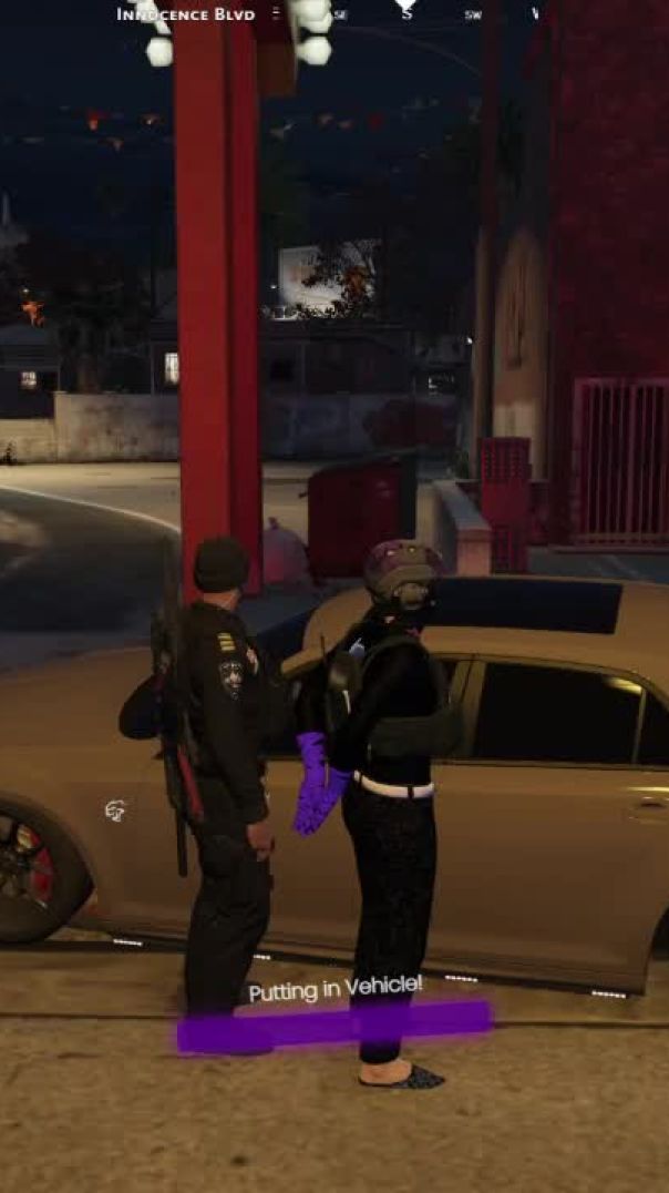 realistic traffic stop, (dont mind my voice i was js waking up that mf sound like a voice changer) P