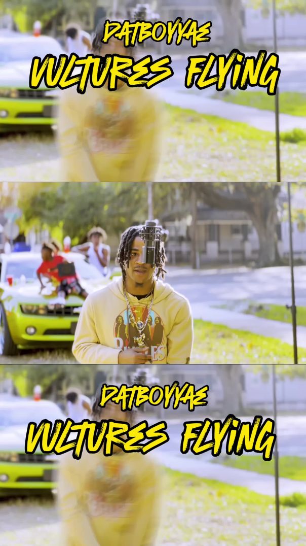 Vultures flying dropping at 5pm