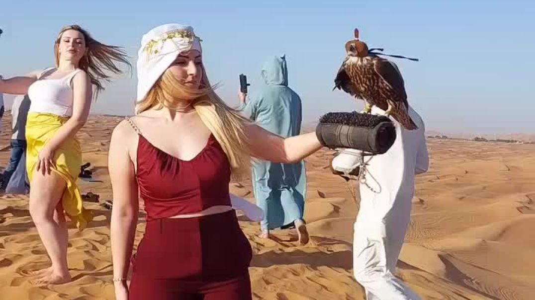 ⁣Dubai desert