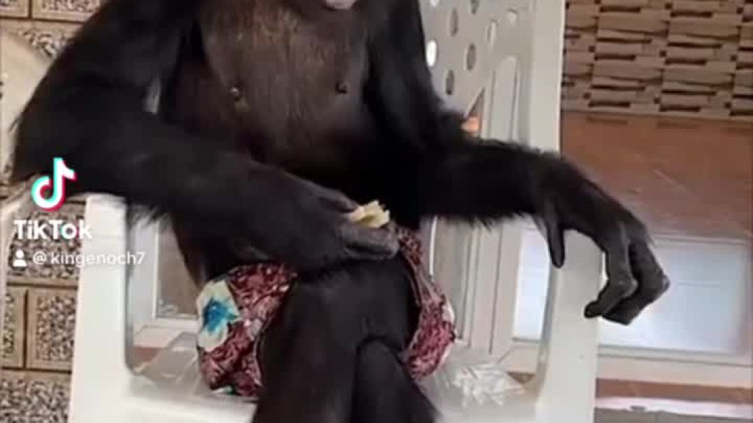 8399d026292b4b6cbfc15e4c6741303d