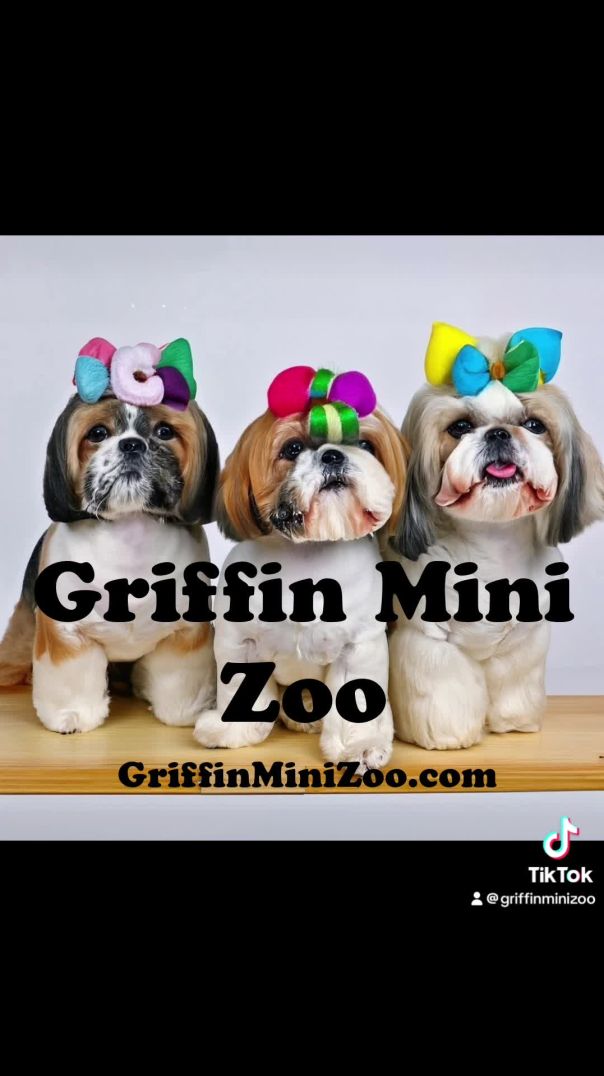 Griffinminizoo.com