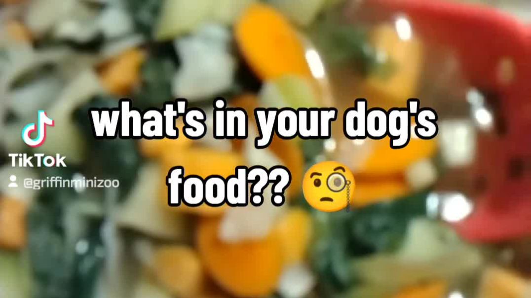 ⁣what's in your dog's food? 🤔