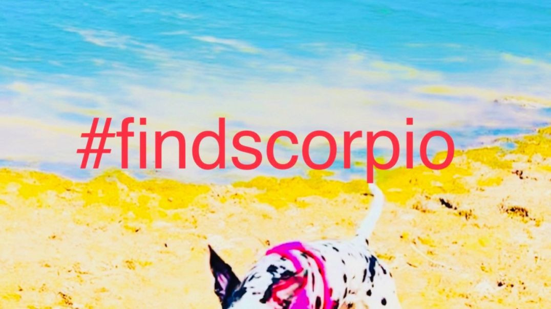 trim_7FD0AE1D-848E-4A48-B99B-87973E4F4E21