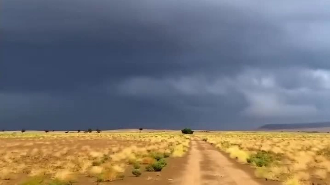 ⁣Rajasthani culture