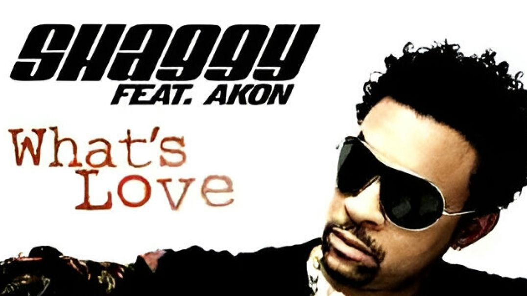 ⁣Shaggy feat Akon - What's Love