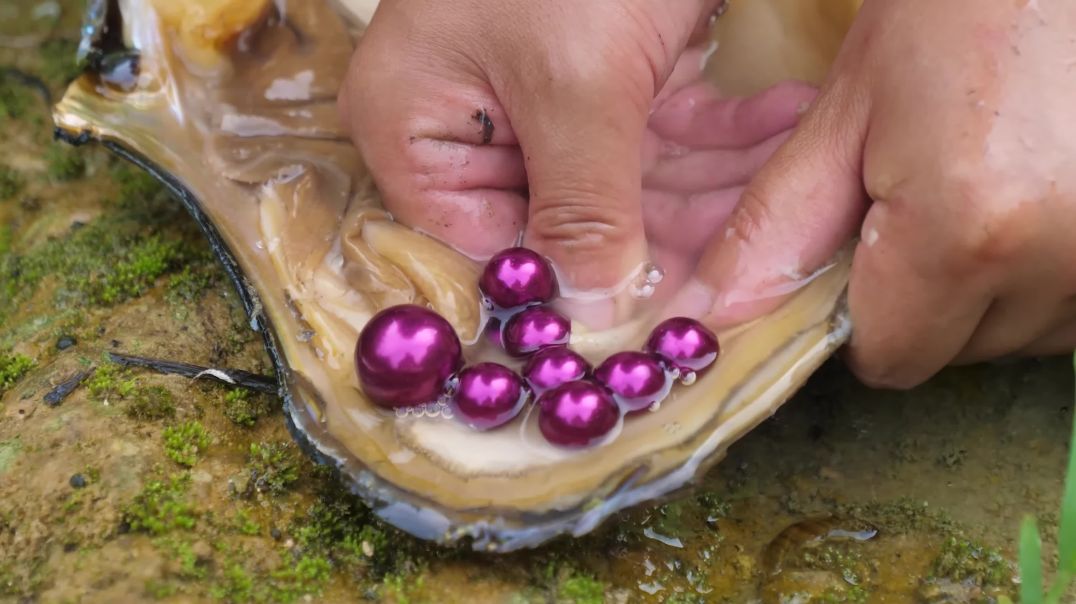 ⁣Woman Cuts Open a Pearl Clam and it was FILLED WITH JEWELS!