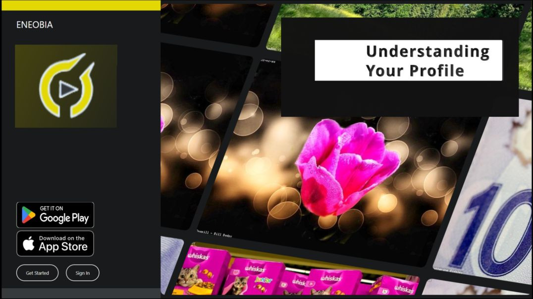 ⁣Eneobia: Understanding Your Profile