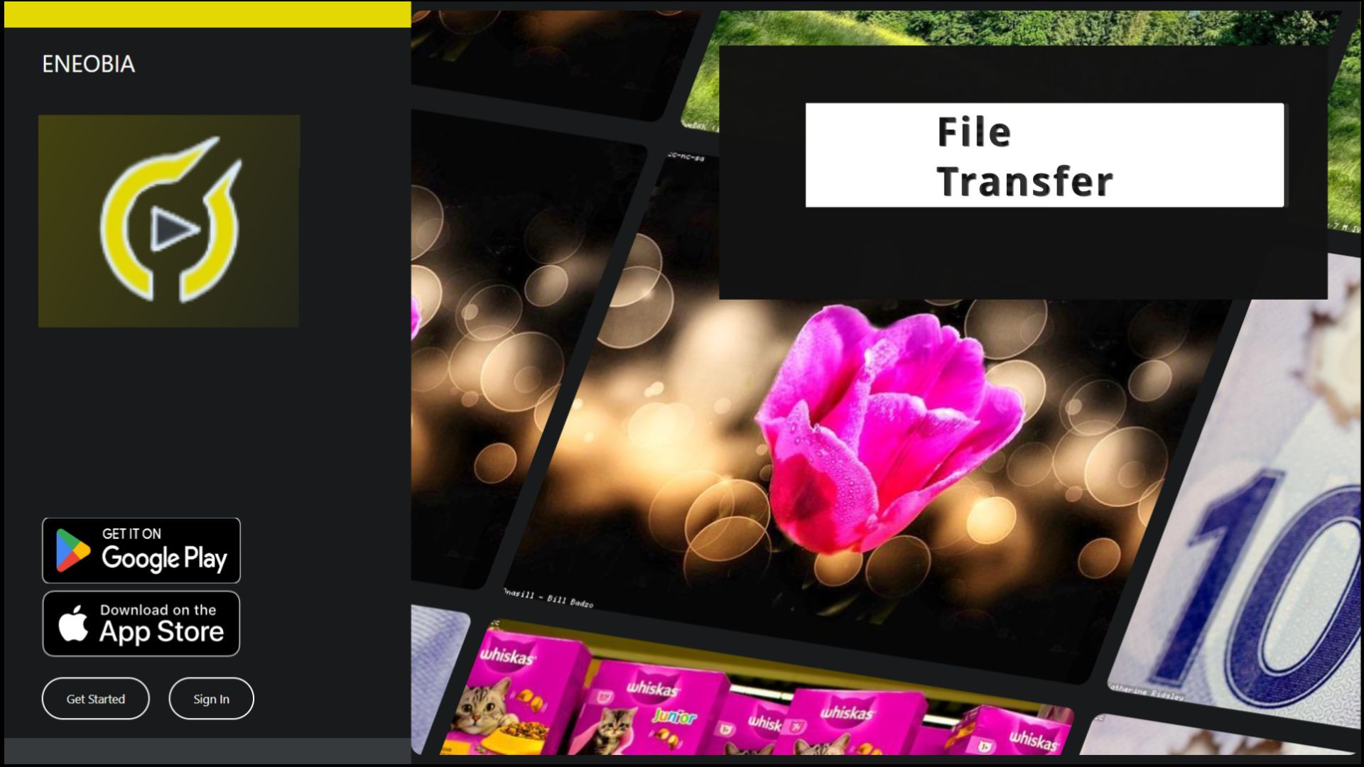⁣Eneobia: File Transfer