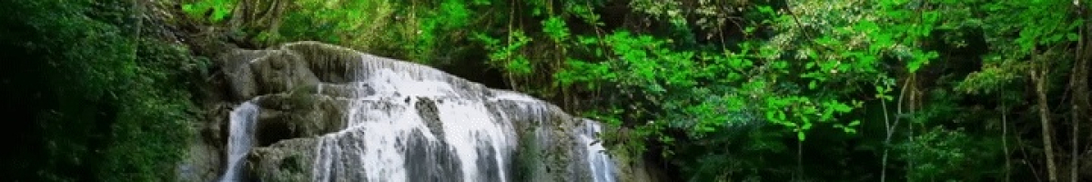 KongOfKai