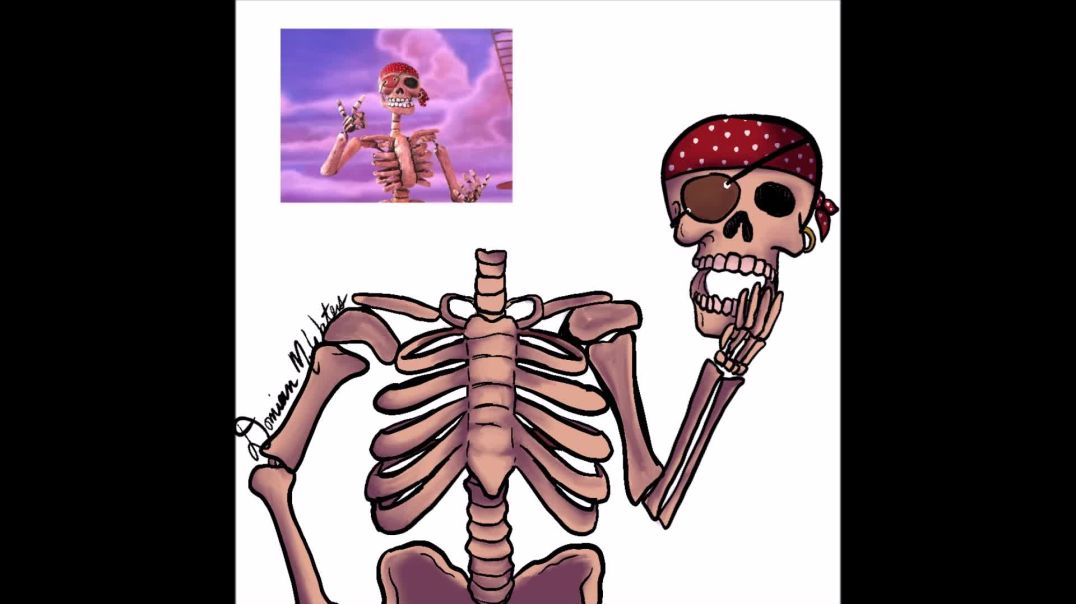 ⁣Crashox- Captain Bones (speed-draw)