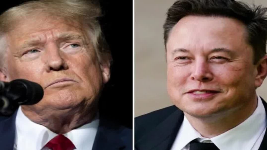 ⁣Bank Of Elon Musk = The White House pt. 2