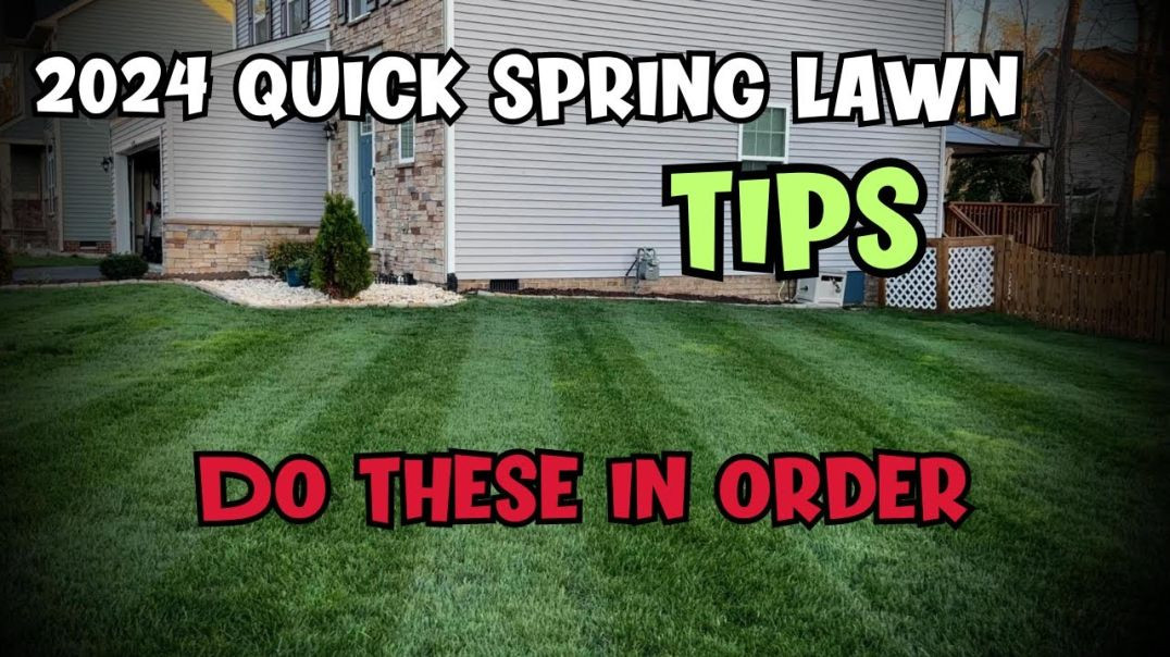 Spring Lawn Tips for Beginners