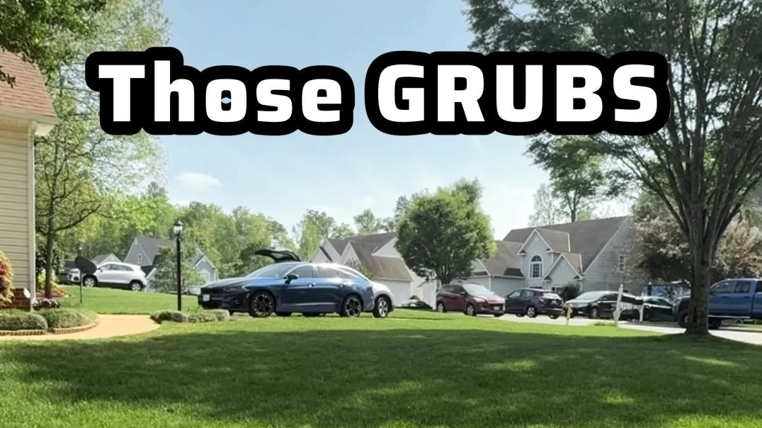 ⁣Control Grubs in Your Lawn Effectively