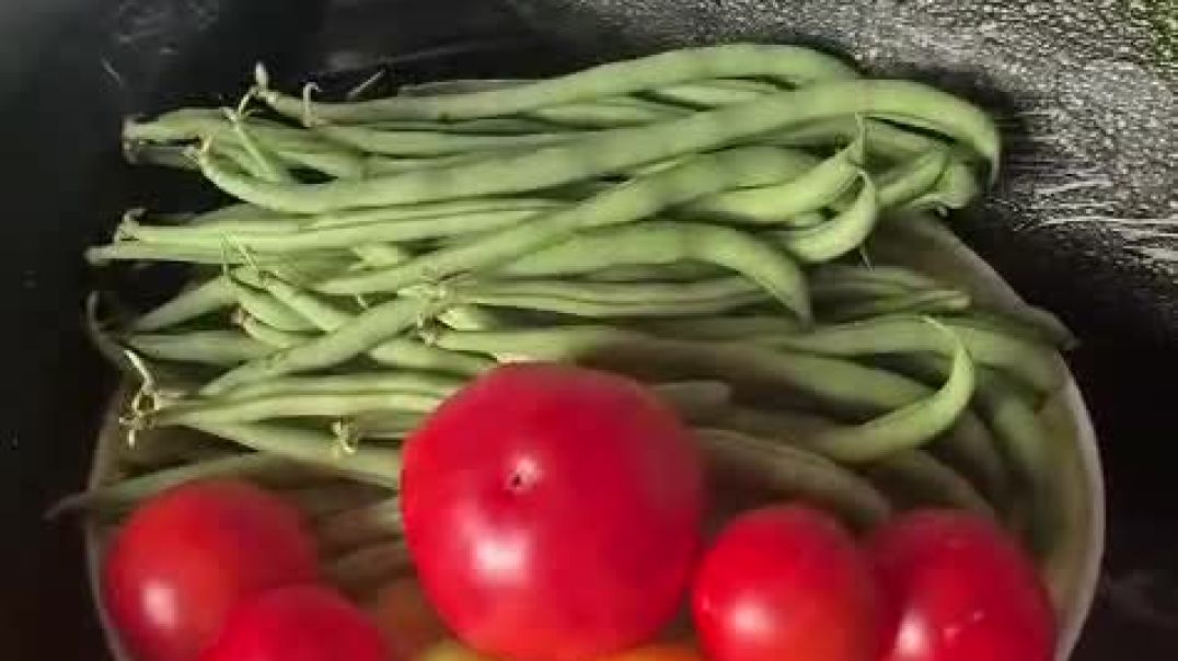 ⁣From my Garden