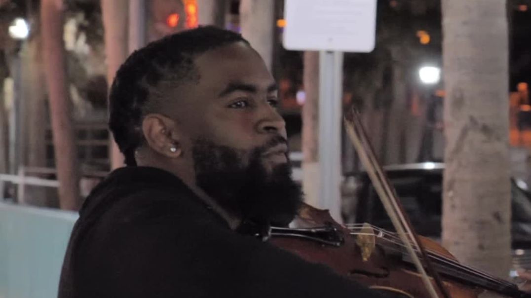 ⁣Wgviolinist violin cover GoCrazy
