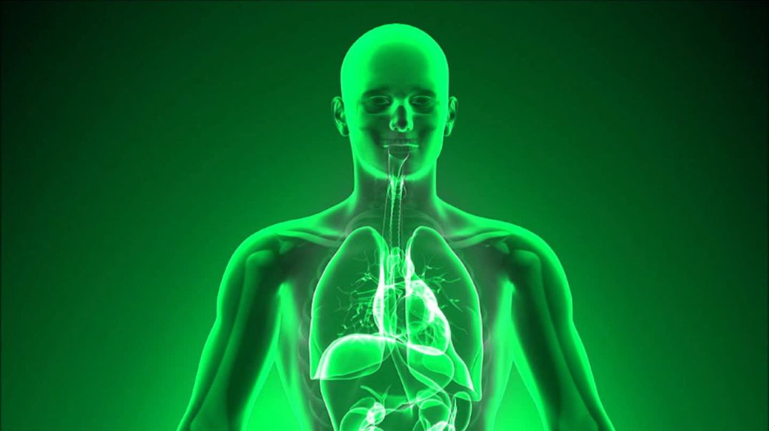 ⁣You- “The Human Body: Mind, Homie-O  & Everyday Amazement”